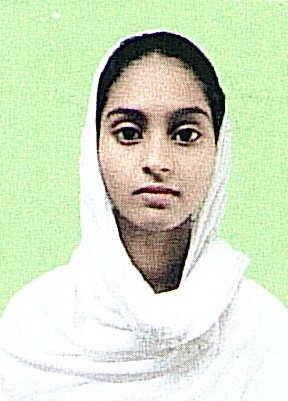 Owl Image