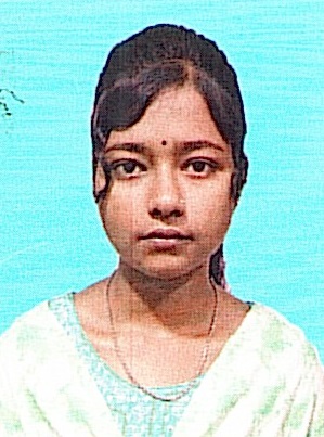 Owl Image
