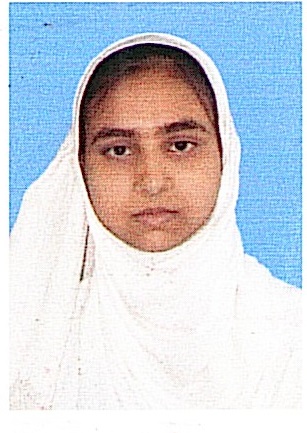 Owl Image