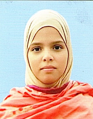 Owl Image