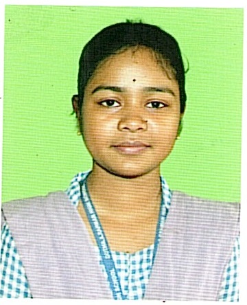 Owl Image