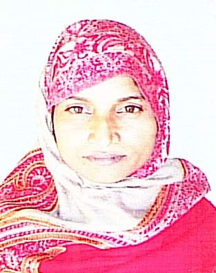 Owl Image
