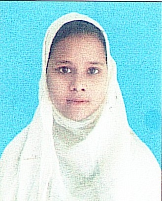 Owl Image