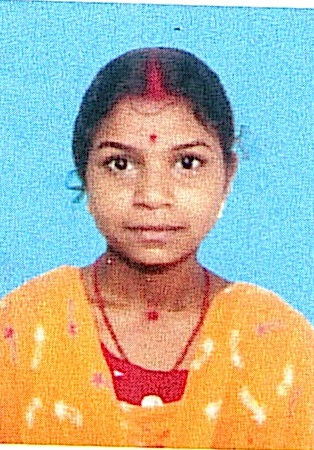 Owl Image
