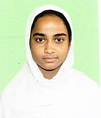 Owl Image
