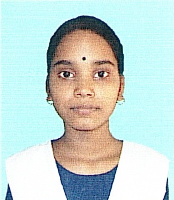 Owl Image