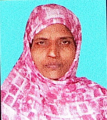 Owl Image