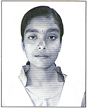 Owl Image