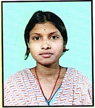 Owl Image