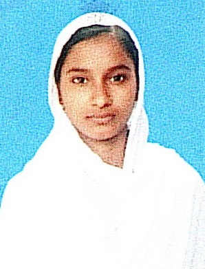 Owl Image