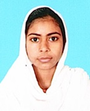 Owl Image