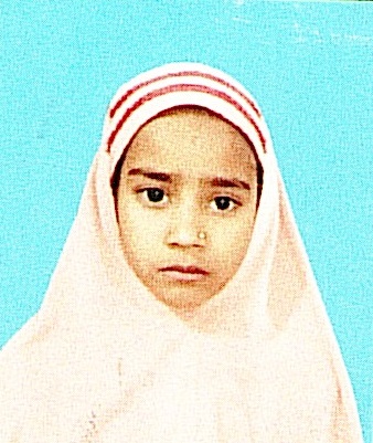 Owl Image