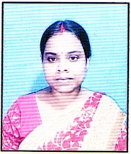 Owl Image