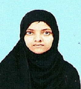 Owl Image