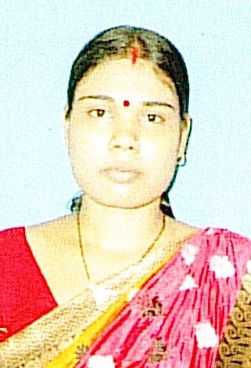 Owl Image