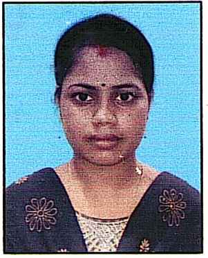 Owl Image