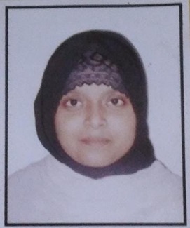 Owl Image