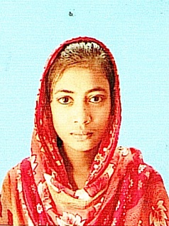 Owl Image