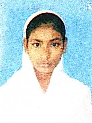 Owl Image