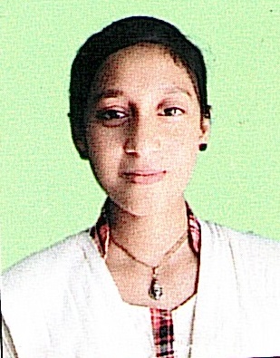 Owl Image