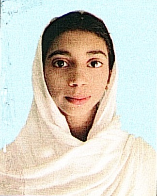 Owl Image