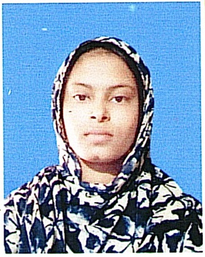 Owl Image