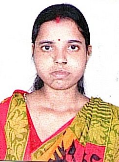 Owl Image